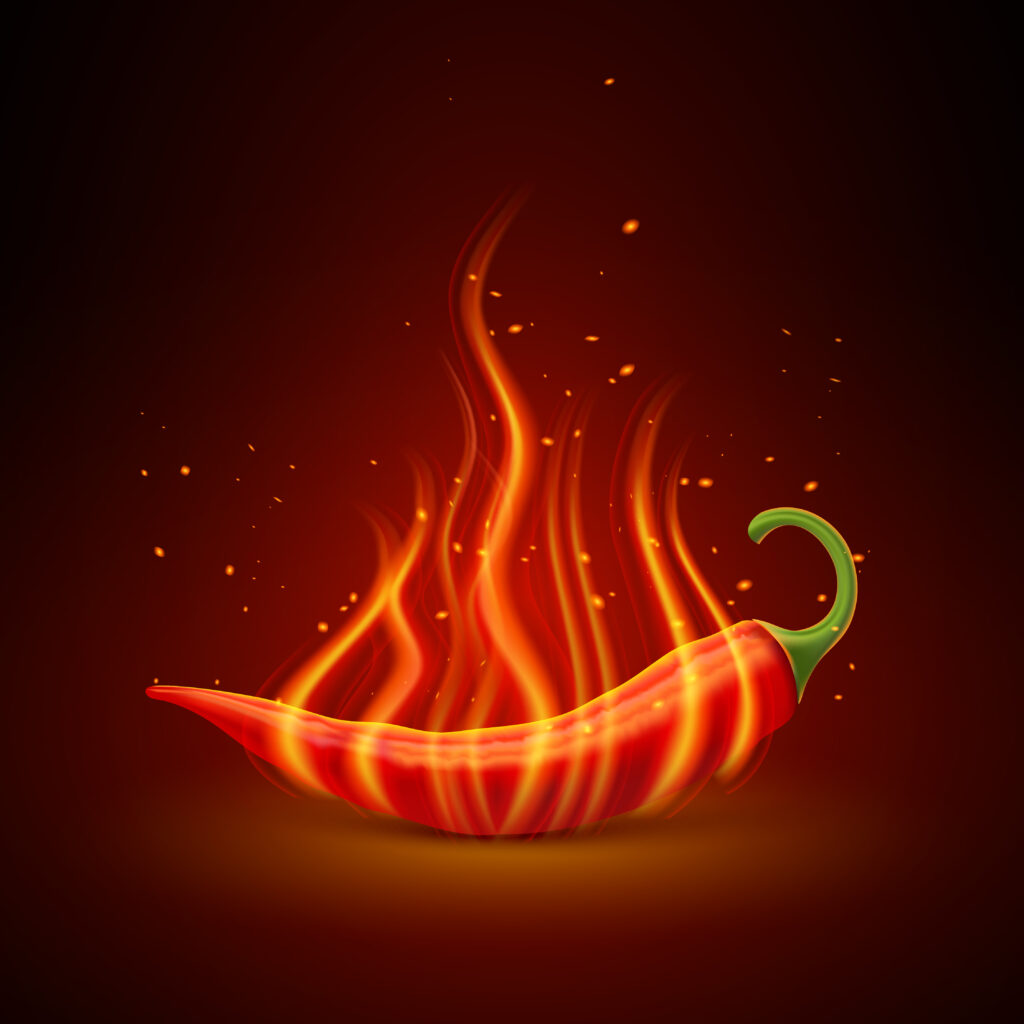 Fire Tadka